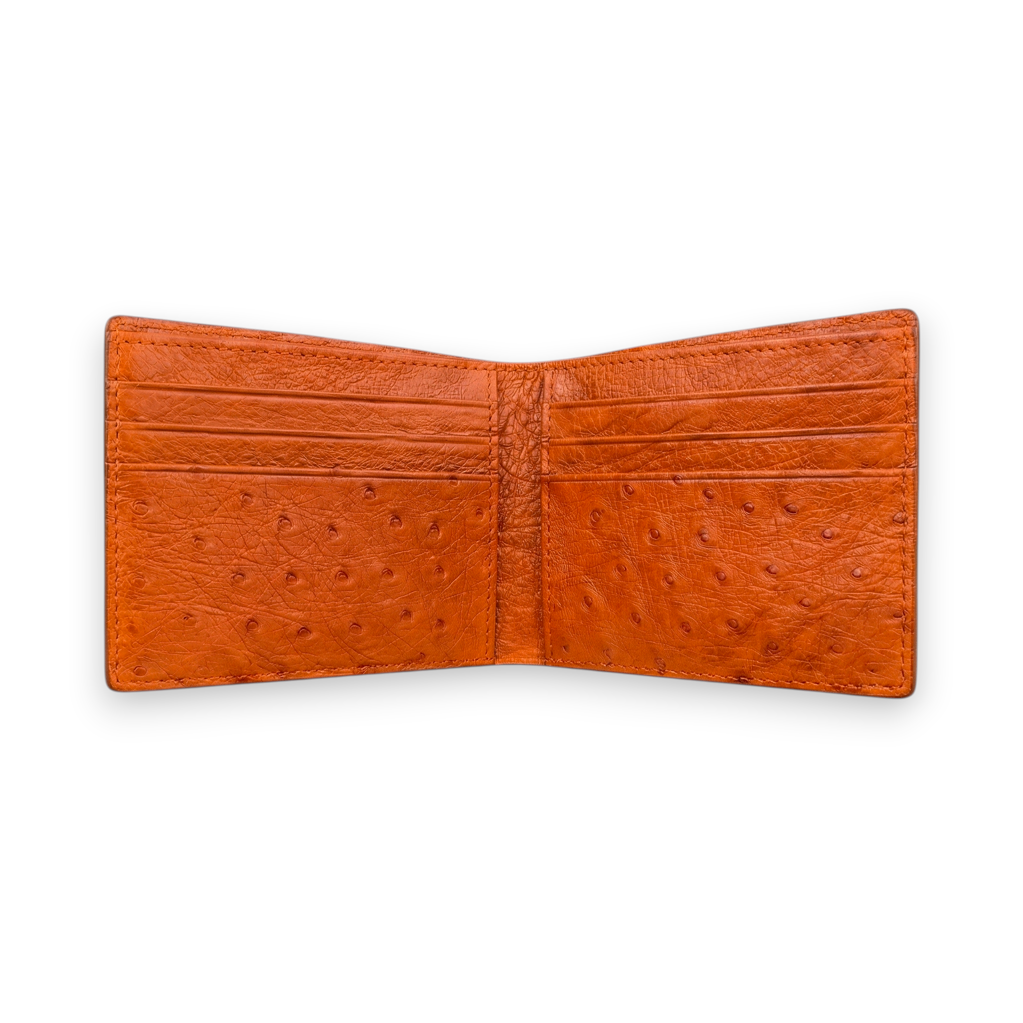 Portefeuille Autruche Orange