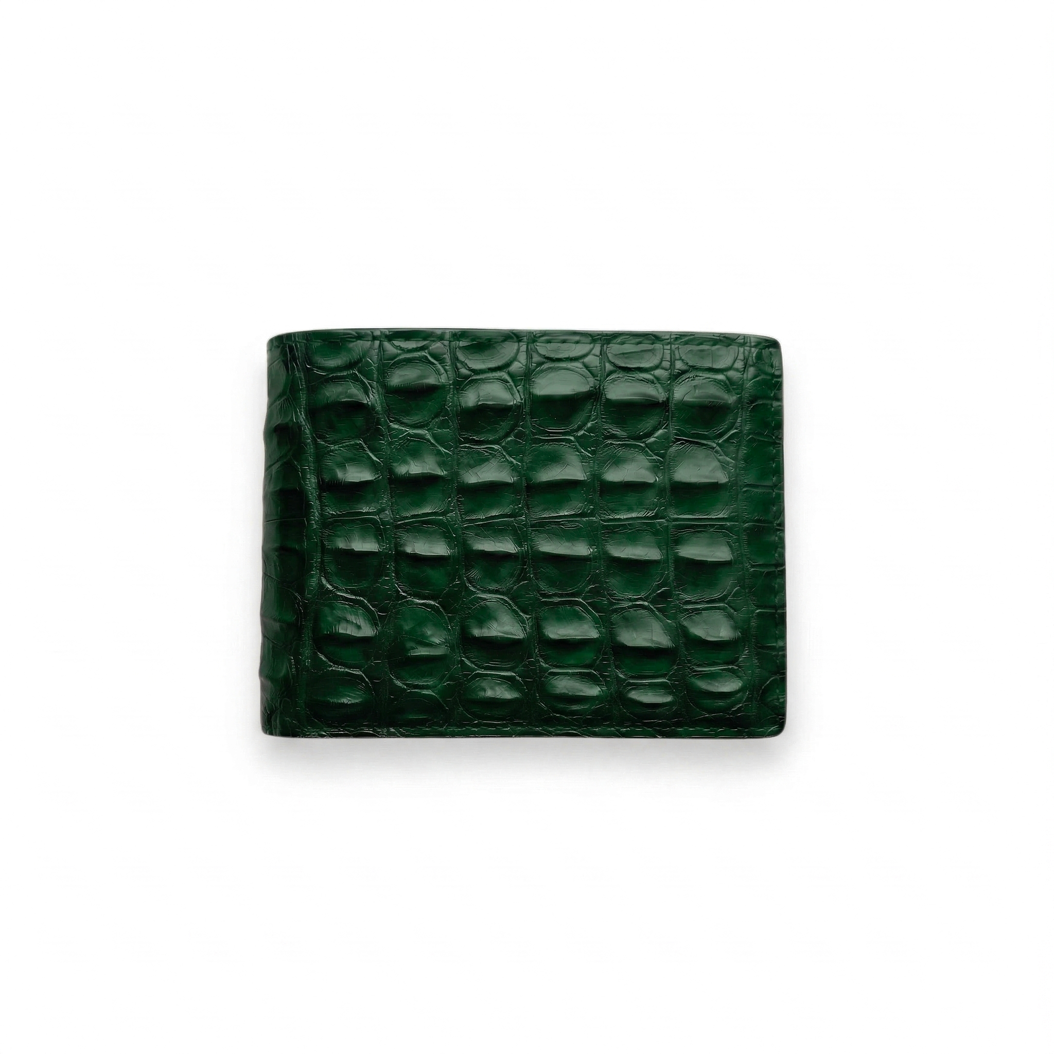 Portefeuille Alligator Relief Vert