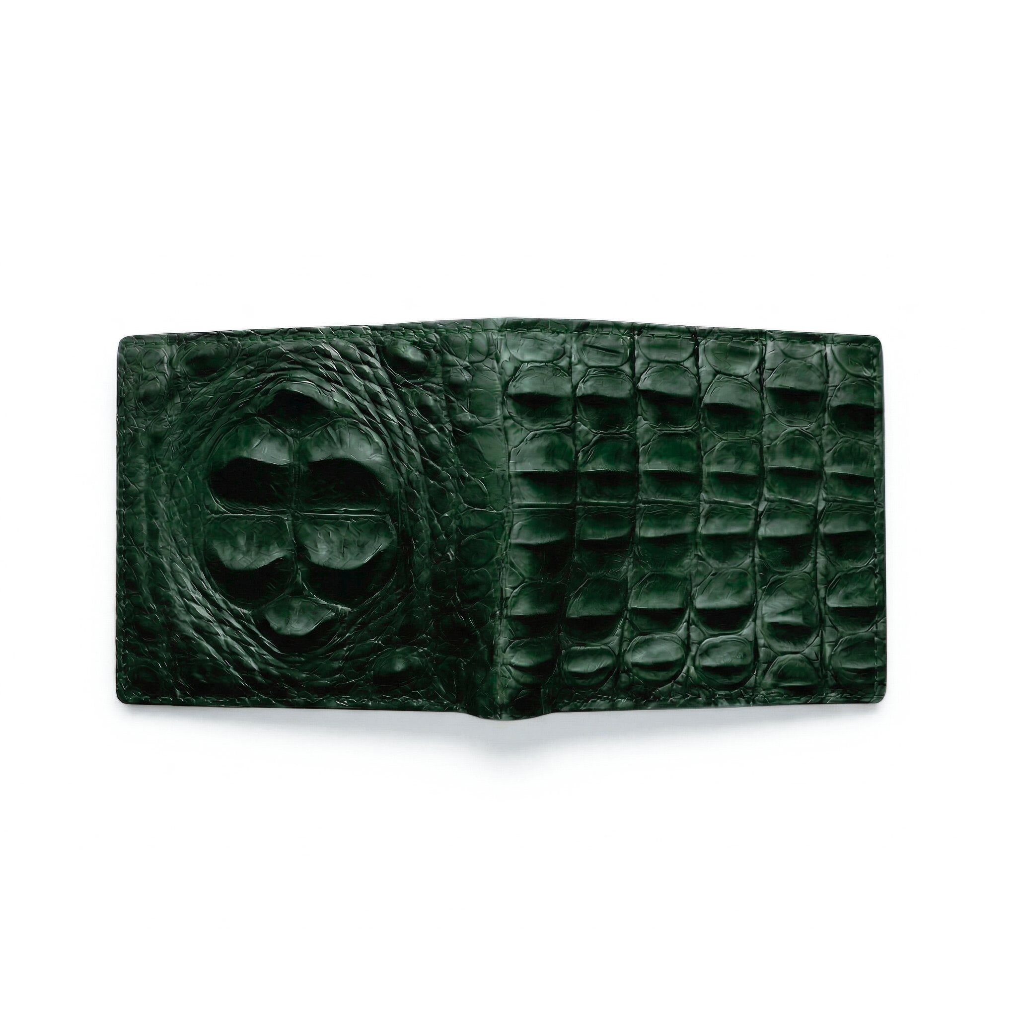 Portefeuille Alligator Relief Vert