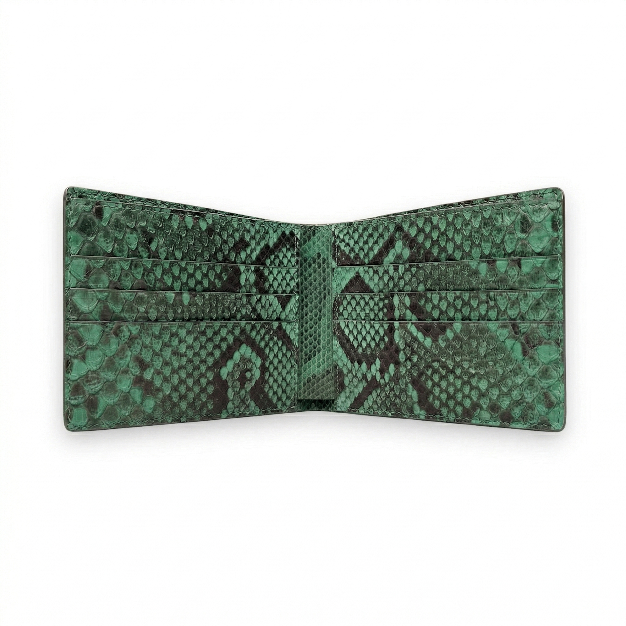 Portefeuille Python Vert